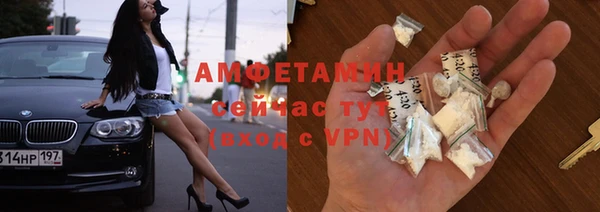 шишки Дмитровск