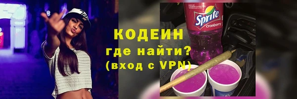 индика Горно-Алтайск