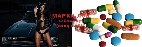 индика Горно-Алтайск