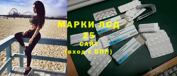 индика Горно-Алтайск