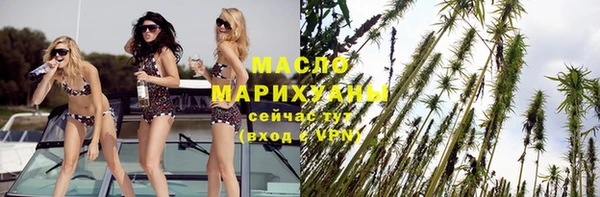 индика Горно-Алтайск