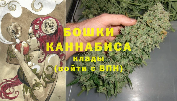 индика Горно-Алтайск