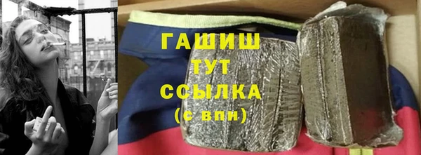 индика Горно-Алтайск