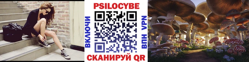 купить закладку  Нахабино  Псилоцибиновые грибы Magic Shrooms 